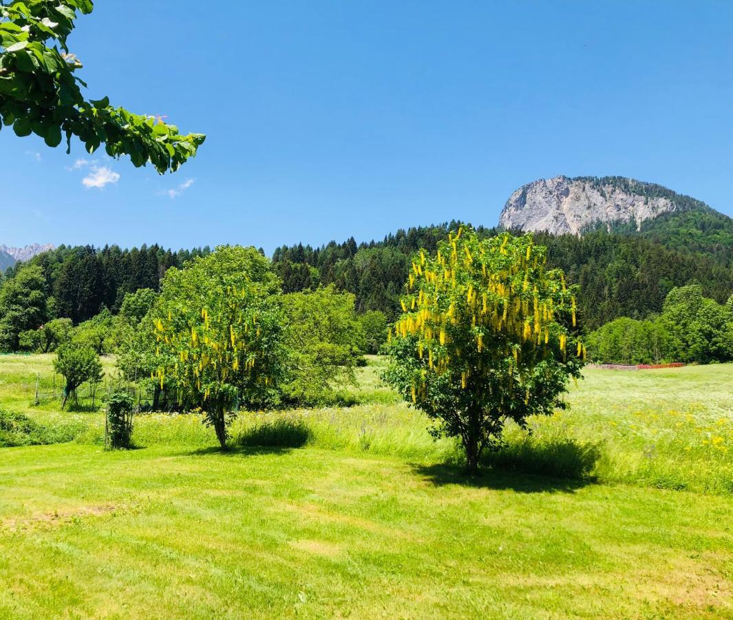 Residence Dolomiti Forni di Sopra Bagian luar foto