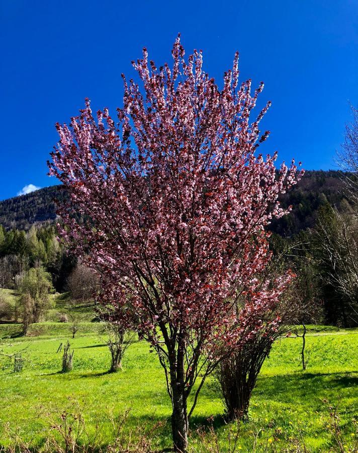 Residence Dolomiti Forni di Sopra Bagian luar foto